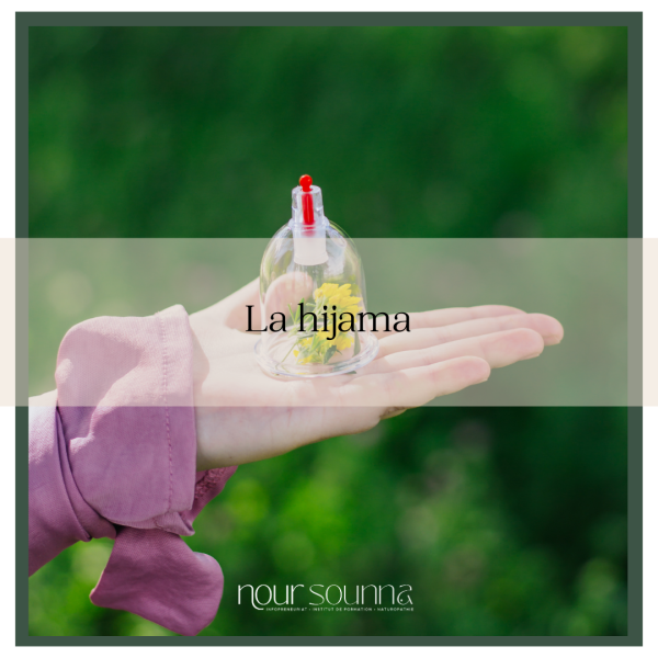 Formation Hijama - Initiale