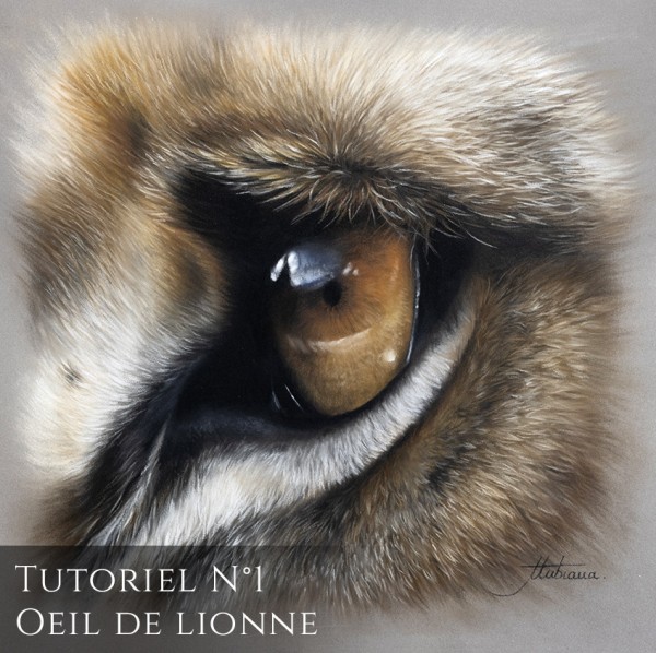 Tutoriel Oeil de lionne