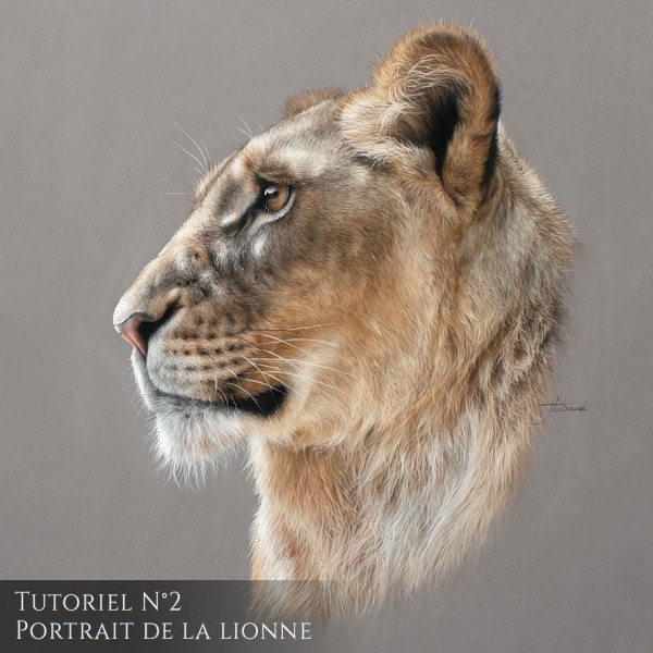 Tutoriel portrait de la lionne