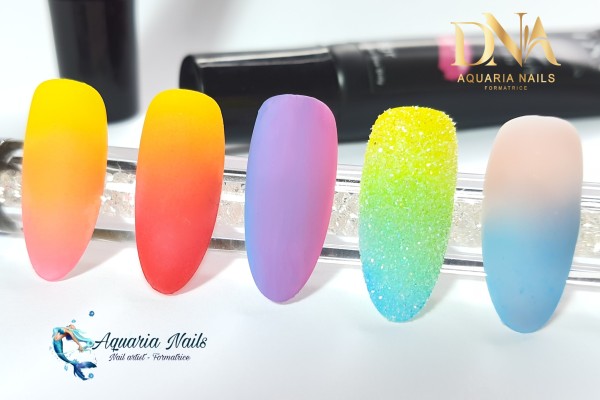 Formation Les Dégradés - Aquaria Nails