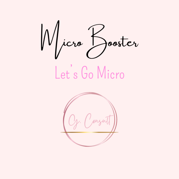 PROGRAMME MICRO BOOSTER