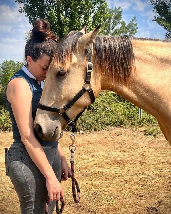 LES BASES DE LA MEDIATION EQUINE